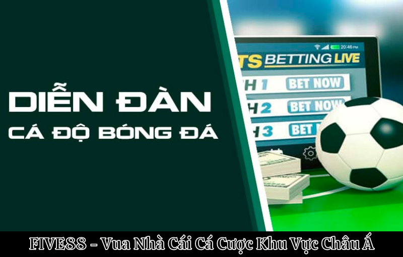 tham gia diễn đàn cá độ bóng đá uy tín